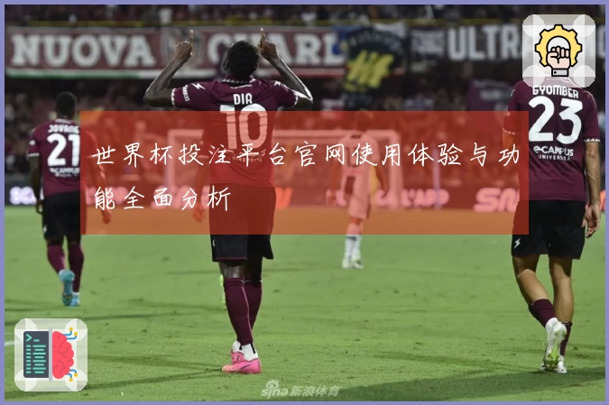 世界杯投注平台官网使用体验与功能全面分析