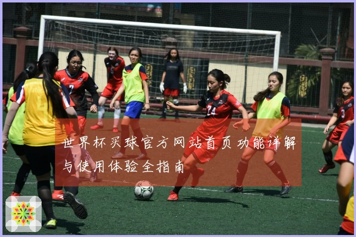 世界杯买球官方网站首页功能详解与使用体验全指南