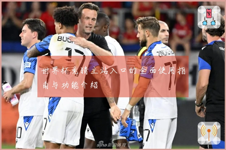 世界杯竞猜主站入口的全面使用指南与功能介绍