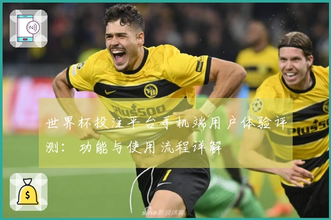 世界杯投注平台手机端用户体验评测：功能与使用流程详解