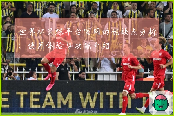 世界杯买球平台官网的优缺点分析：使用体验与功能介绍