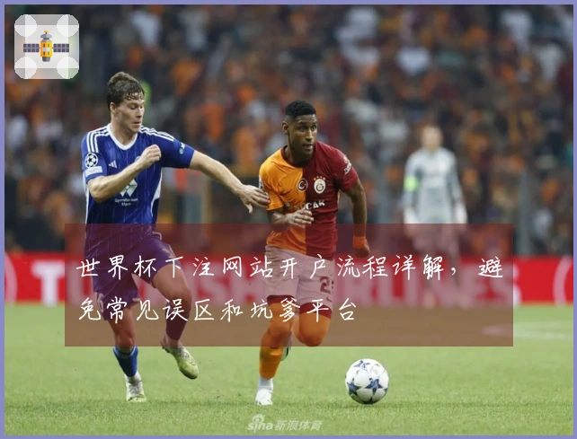 世界杯下注网站开户流程详解，避免常见误区和坑爹平台