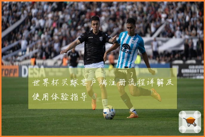 世界杯买球客户端注册流程详解及使用体验指导