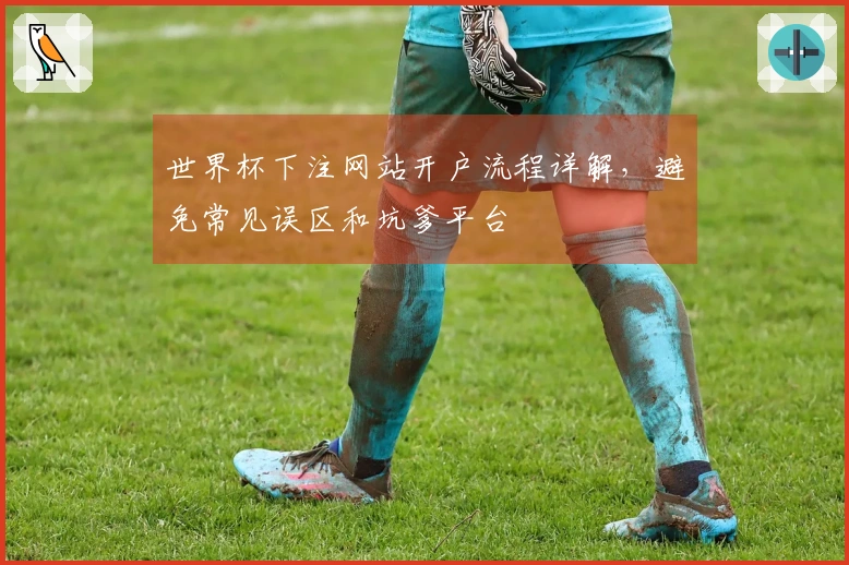 世界杯下注网站开户流程详解,避免常见误区和坑爹平台