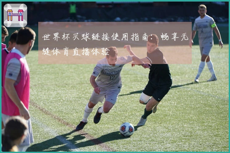 世界杯买球链接使用指南：畅享无缝体育直播体验