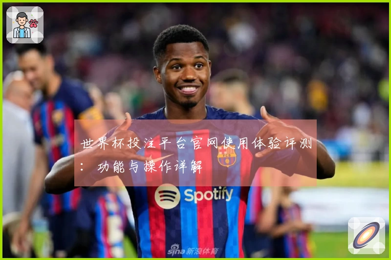 世界杯投注平台官网使用体验评测：功能与操作详解