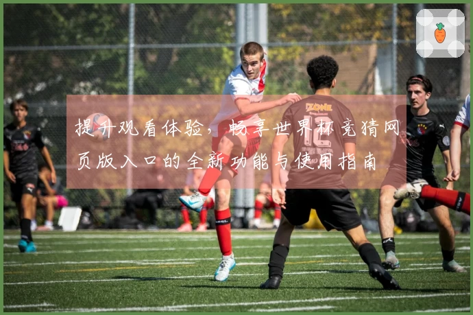 提升观看体验，畅享世界杯竞猜网页版入口的全新功能与使用指南