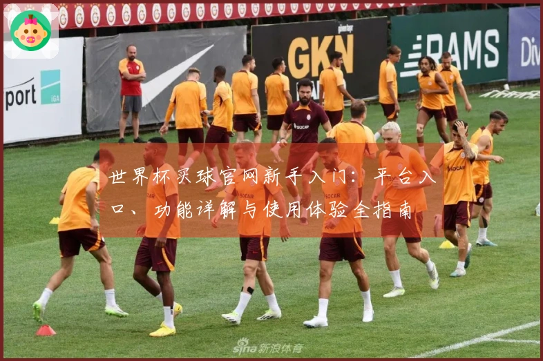 世界杯买球官网新手入门:平台入口、功能详解与使用体验全指南