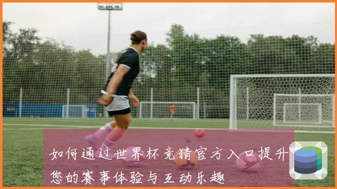 如何通过世界杯竞猜官方入口提升您的赛事体验与互动乐趣