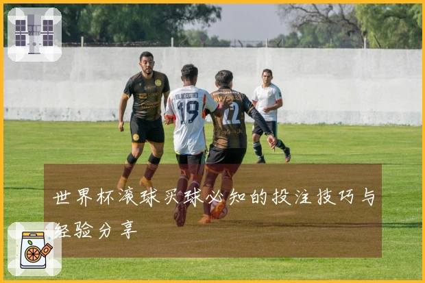 世界杯滚球买球必知的投注技巧与经验分享