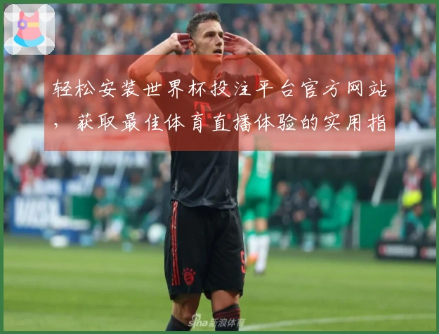 轻松安装世界杯投注平台官方网站，获取最佳体育直播体验的实用指南