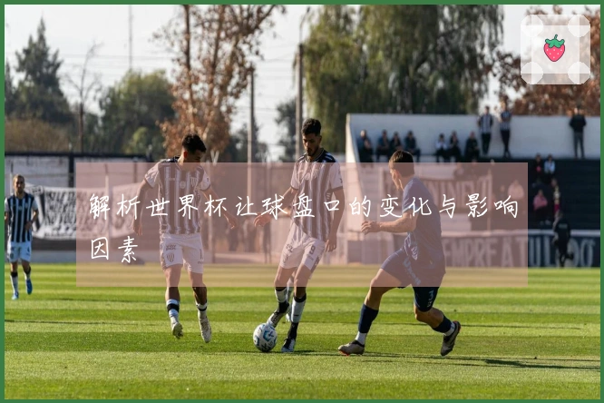 解析世界杯让球盘口的变化与影响因素