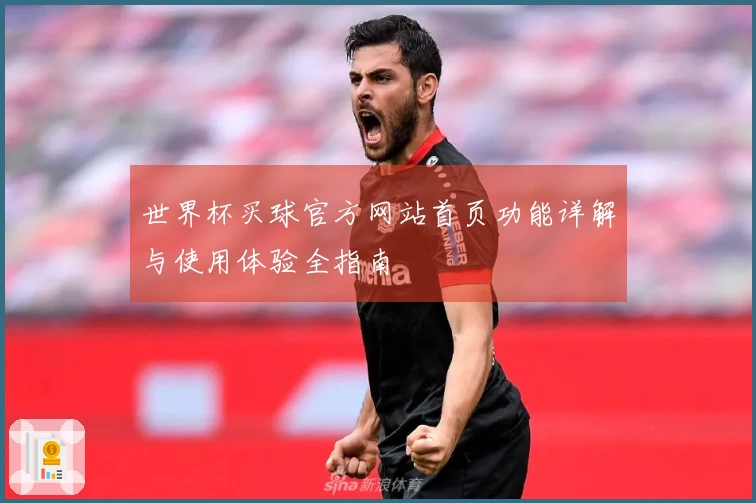 世界杯买球官方网站首页功能详解与使用体验全指南