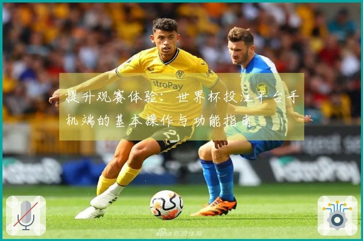提升观赛体验：世界杯投注平台手机端的基本操作与功能指南