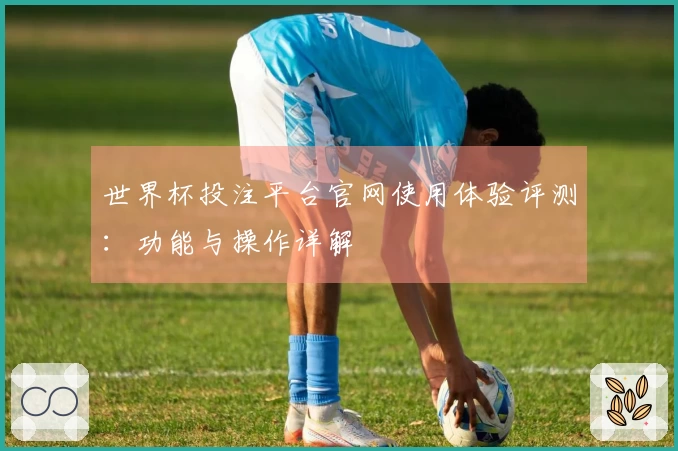 世界杯投注平台官网使用体验评测：功能与操作详解